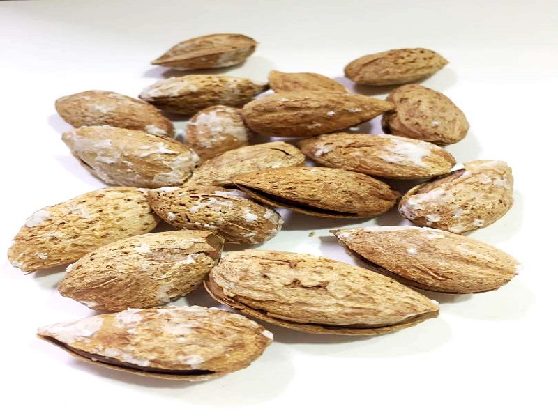 raw almond in shell