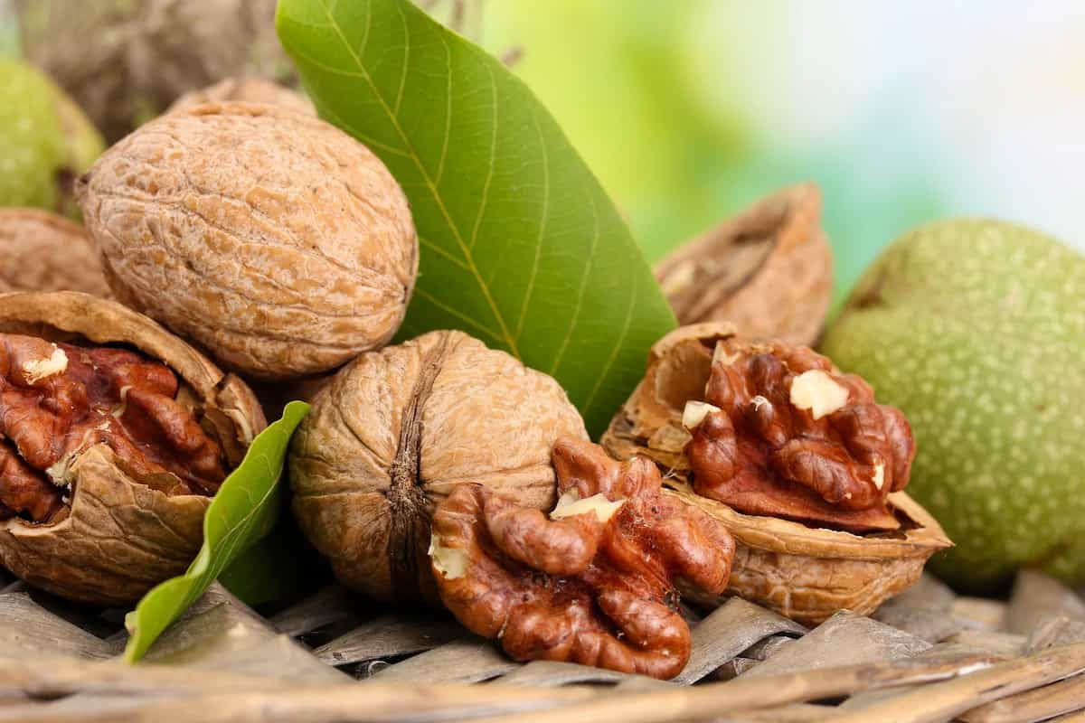 salted walnuts amazon