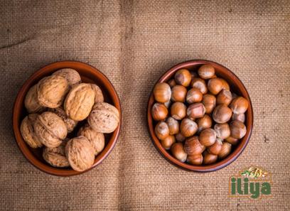 australian hazelnuts buying guide with special conditions and exceptional price