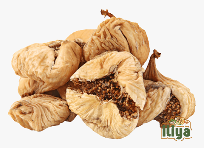 dried common fig with complete explanations and familiarization