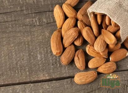 Peerless Almonds with complete explanations and familiarization