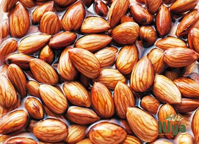 Sonora Almonds buying guide with special conditions and exceptional price