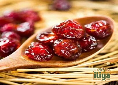 Poland dried cherries price list wholesale and economical