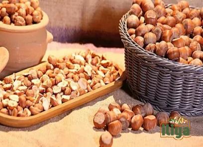 Price and purchase Ennis Hazelnut with complete specifications