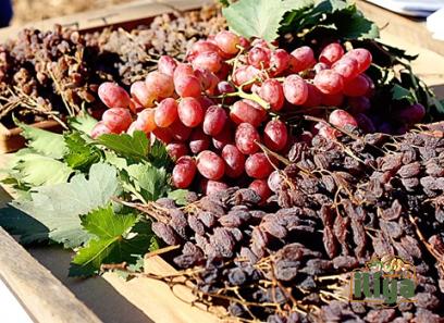 Price and purchase Greek raisins  with complete specifications