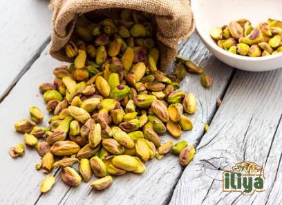 sudanese pistachio with complete explanations and familiarization