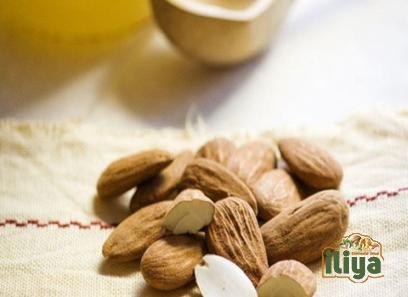 almonds seeds buying guide with special conditions and exceptional price