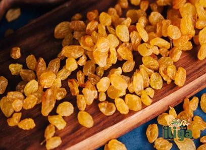 iranian golden raisins specifications and how to buy in bulk