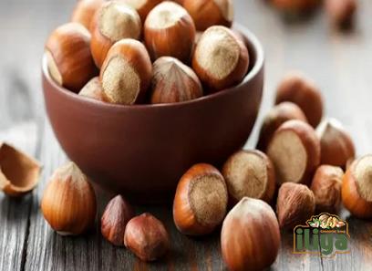 spanish hazelnut specifications and how to buy in bulk