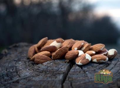 yazd almonds  price list wholesale and economical