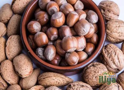 aleppo nuts price list wholesale and economical