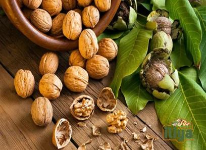 Learning to buy dry walnuts from zero to one hundred