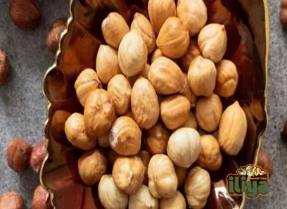 hazelnut turkish specifications and how to buy in bulk