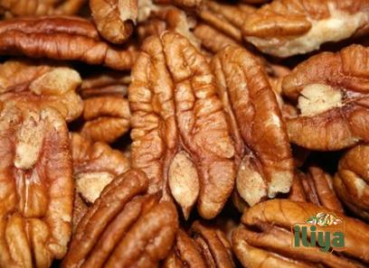 Moreland pecans with complete explanations and familiarization