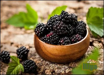 Learning to buy dark berries benefits from zero to one hundred