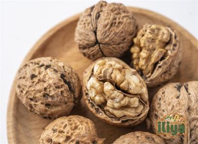 Bulk purchase of Chinese walnuts with the best conditions