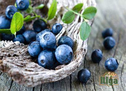 dried Blueberries specifications and how to buy in bulk