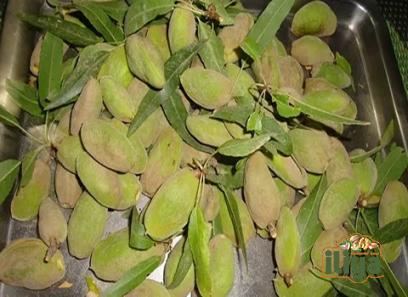afghan almonds buying guide with special conditions and exceptional price
