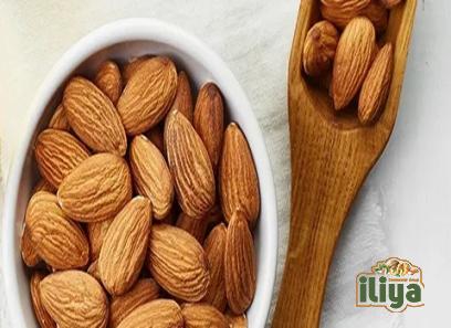 almonds fibre with complete explanations and familiarization