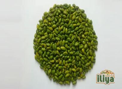 green pistachio kernels specifications and how to buy in bulk