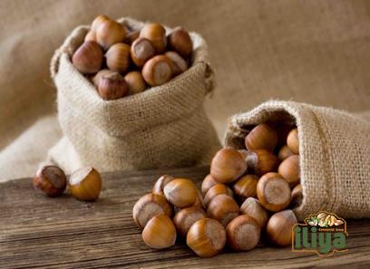 Price and purchase Yamhill hazelnut with complete specifications