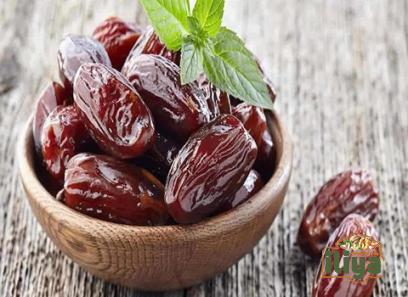 The price of bulk purchase of dried medjool dates is cheap and reasonable