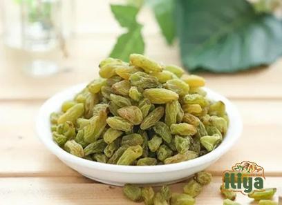 persian green raisins price list wholesale and economical