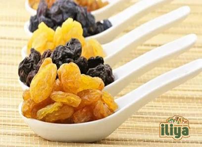 Bulk purchase of gouchan raisins with the best conditions