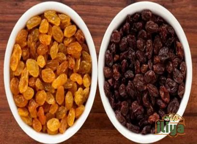 Cashmere Raisins with complete explanations and familiarization