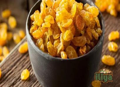 Bulk purchase of Golden raisins with the best conditions