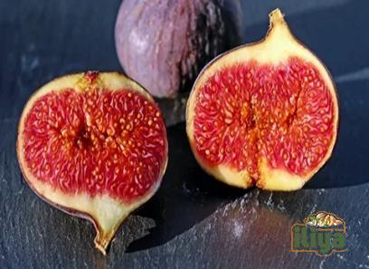 brazil figs buying guide with special conditions and exceptional price