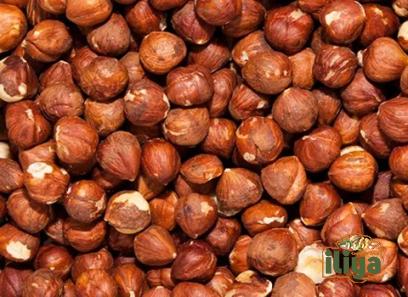 The price of bulk purchase of hazelnuts raw is cheap and reasonable