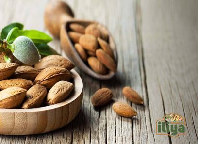 Bulk purchase of green almonds fruit with the best conditions