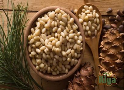 pine nuts price list wholesale and economical