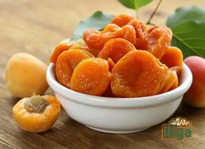 algerian dried apricots specifications and how to buy in bulk