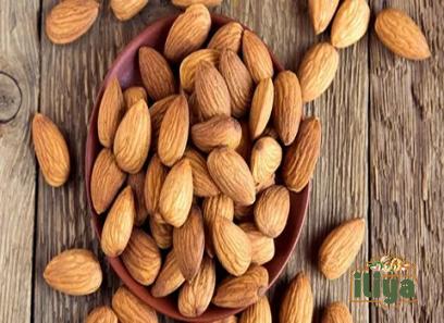 Independence Almond price list wholesale and economical