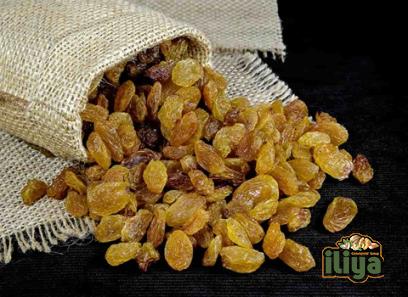 Seedless raisin specifications and how to buy in bulk