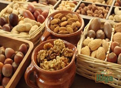 turkish nuts with complete explanations and familiarization