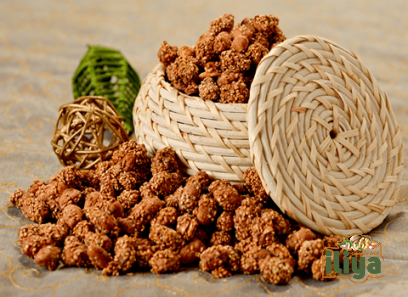Turkish peanuts buying guide with special conditions and exceptional price