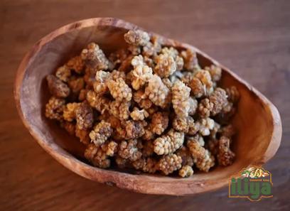 Bulk purchase of dried white berries with the best conditions