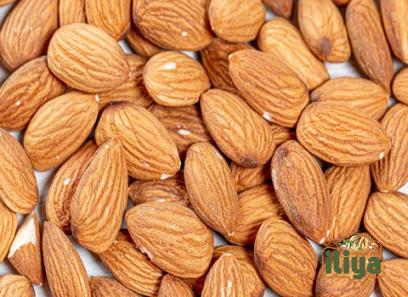 japanese almond buying guide with special conditions and exceptional price